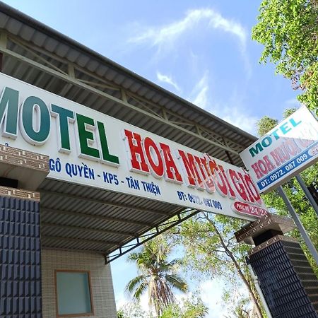 Hotel Nha Nghi Hoa Muoi Gio Tan Tao Zewnętrze zdjęcie